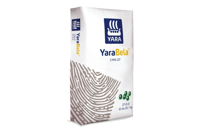 yaravela can27