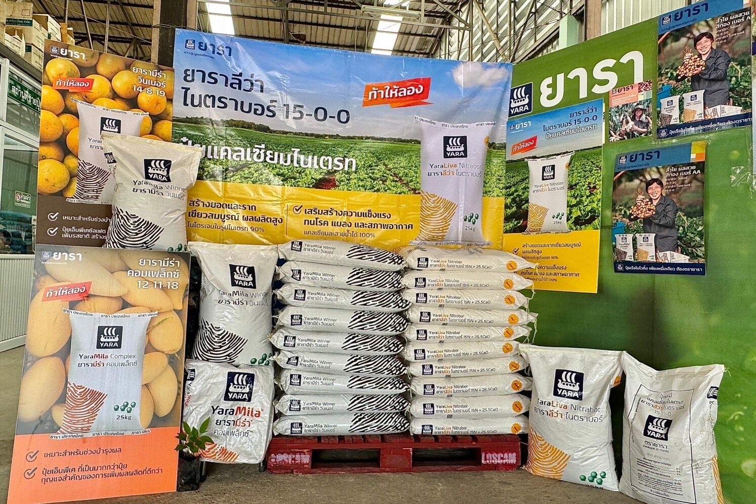 shop winner in north