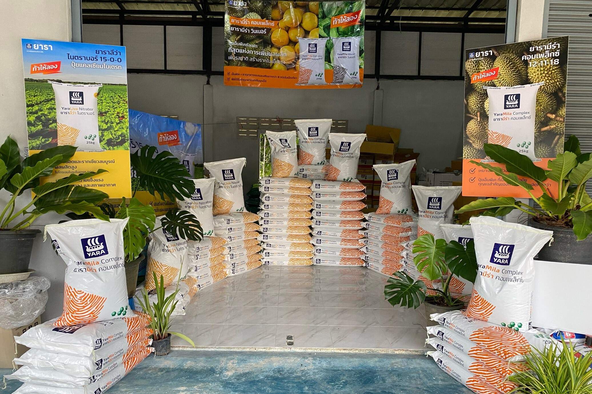 shop winner in south