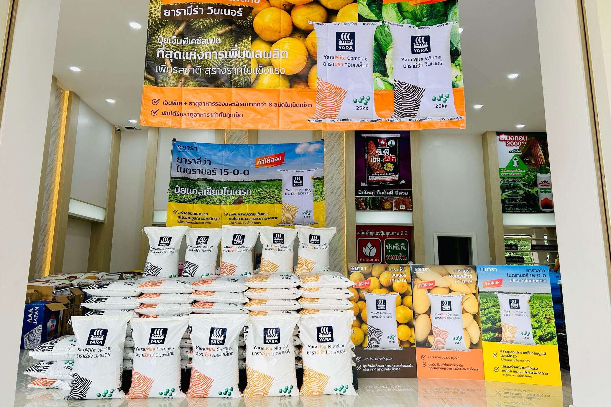 shop winner in north