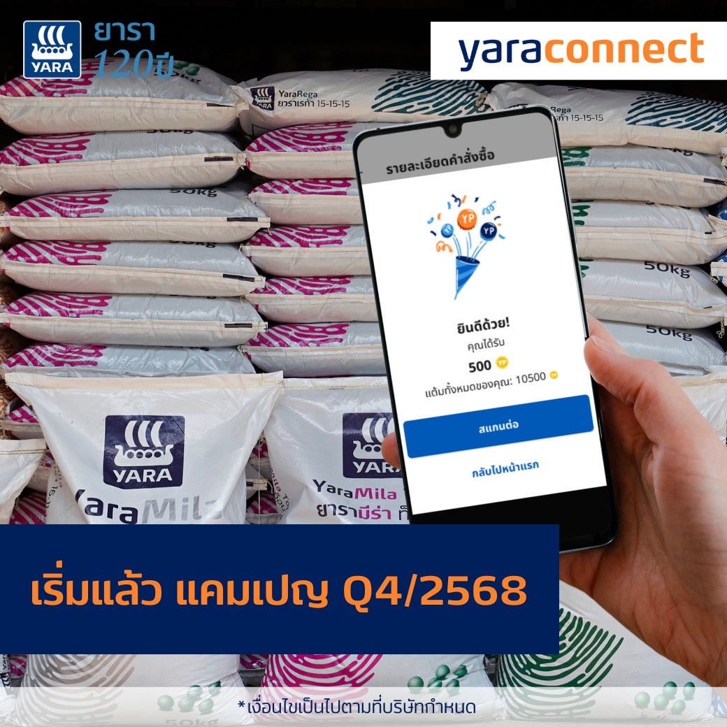 โปรโมชัน