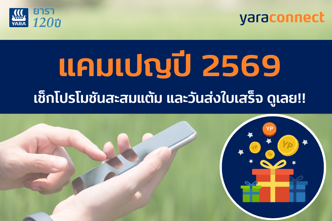 promotion point 2026