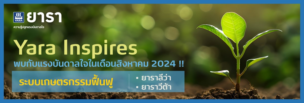 yara inspire article