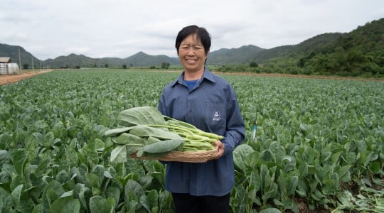 คุณสุวิมล ปฐมเพทาย