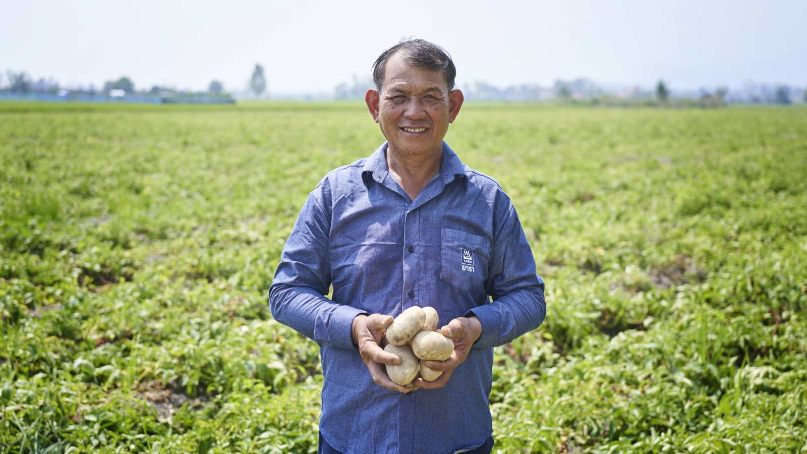 potato farmer