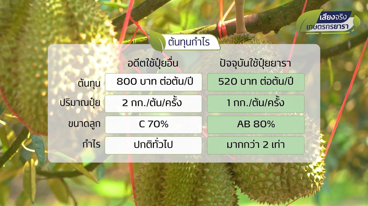 durian farmer chantaburi