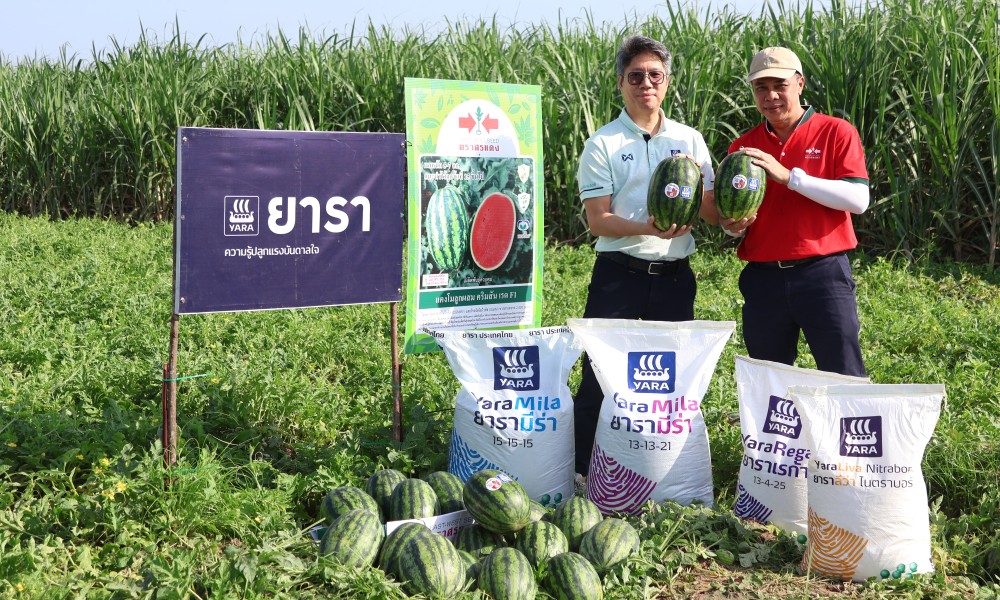 EWS yara watermelon field day at kalasin