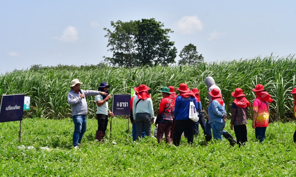 EWS yara watermelon field day at kalasin