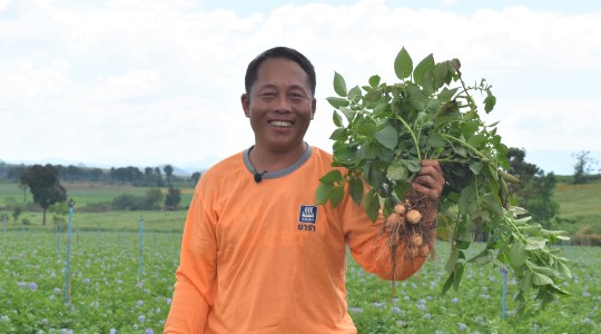 คุณทีฟต์ ไทยพอเพียง