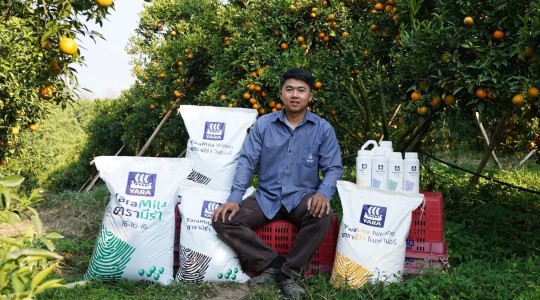 คุณปองภพ สุรินทร์ตา