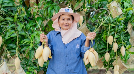 คุณบุญมี บุญมีมา