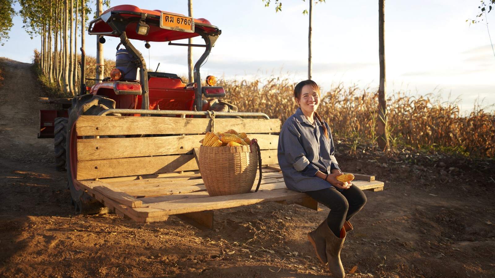yarafarmer