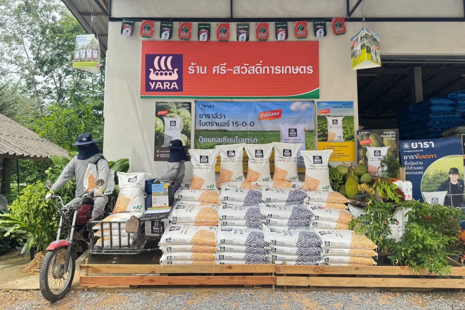 shop winner in south