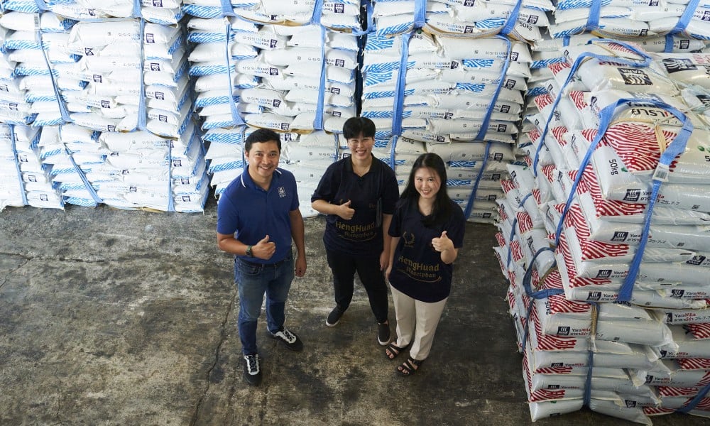 yara dealer hall of fame