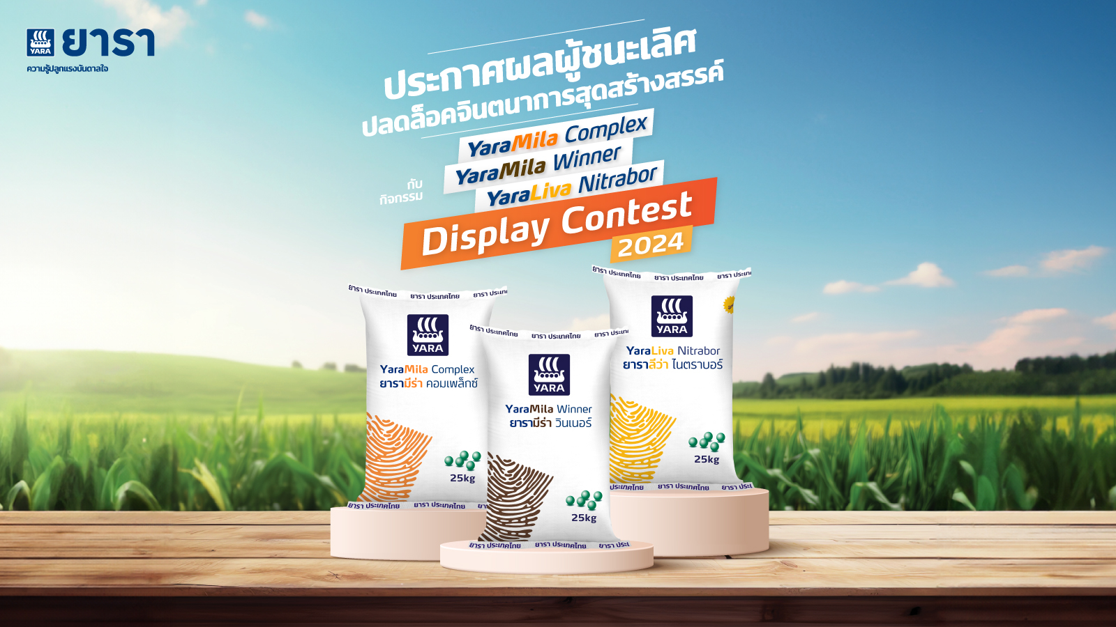 winner yaramila yaraliva display contest 2024