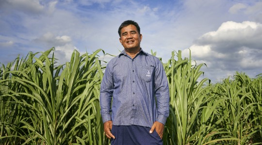 sugarcane farmer