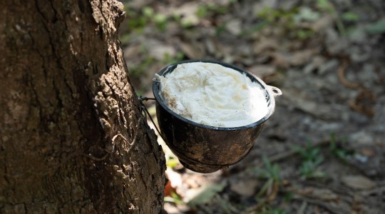 เทคนิค และเคล็ดลับทำยางก้อนคุณภาพ