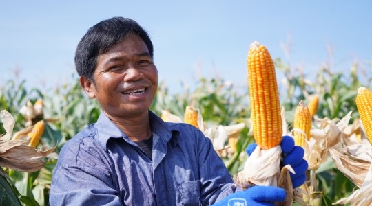 คุณคงศึก บัวบาน 