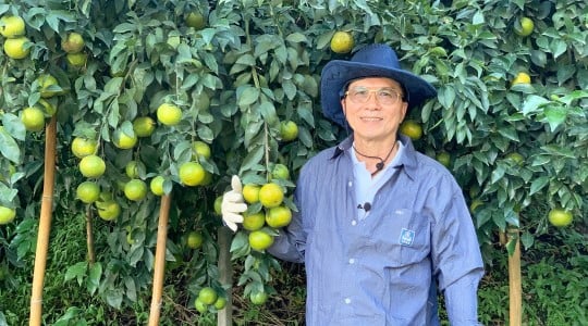 คุณชัยชาย พิพัฒนามงคล