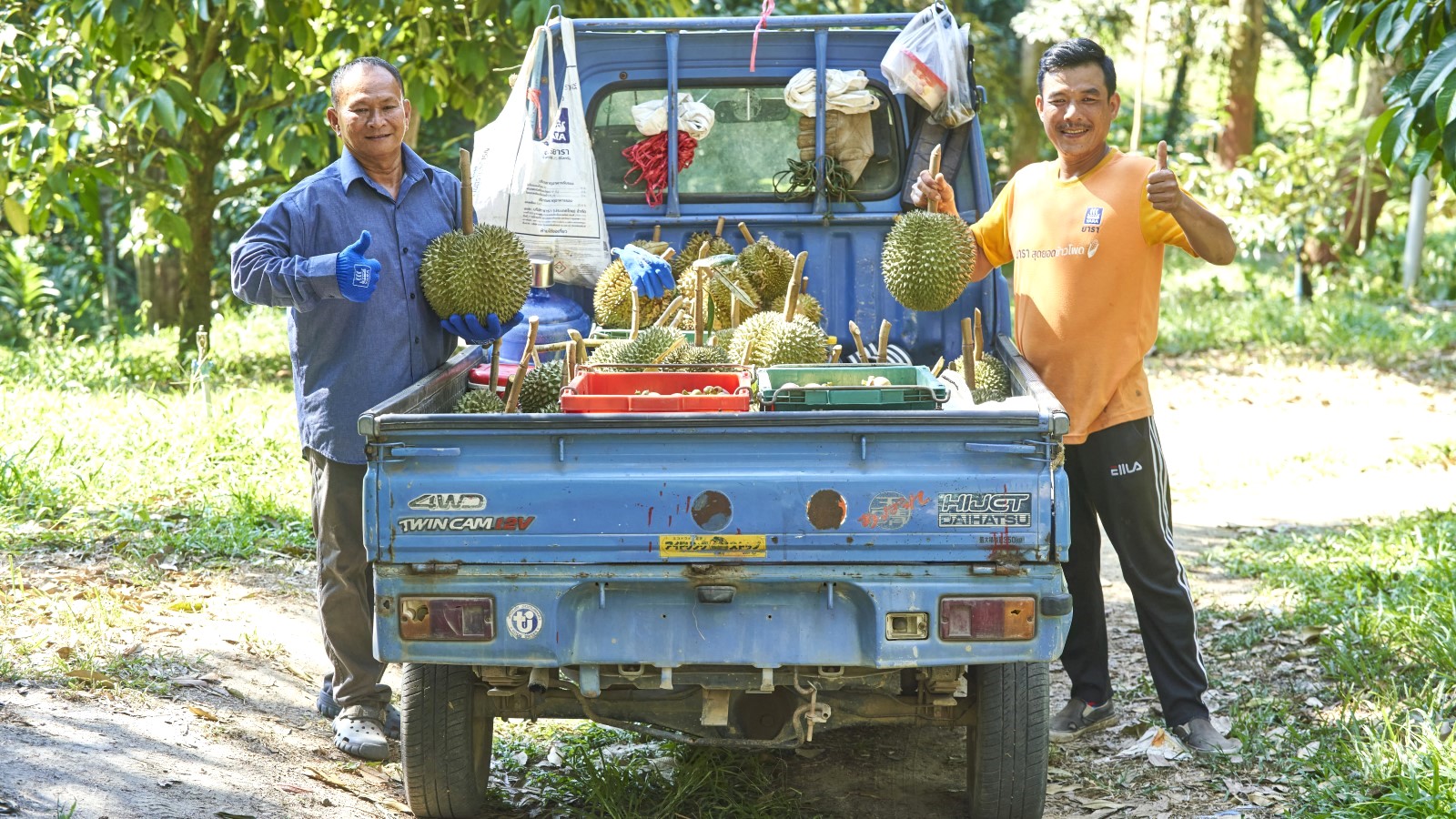 durian farmer