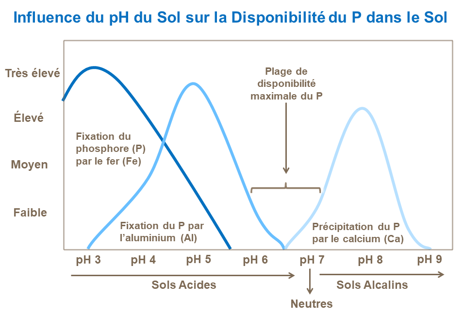 FR-influence of soil pH on soil P availability.png